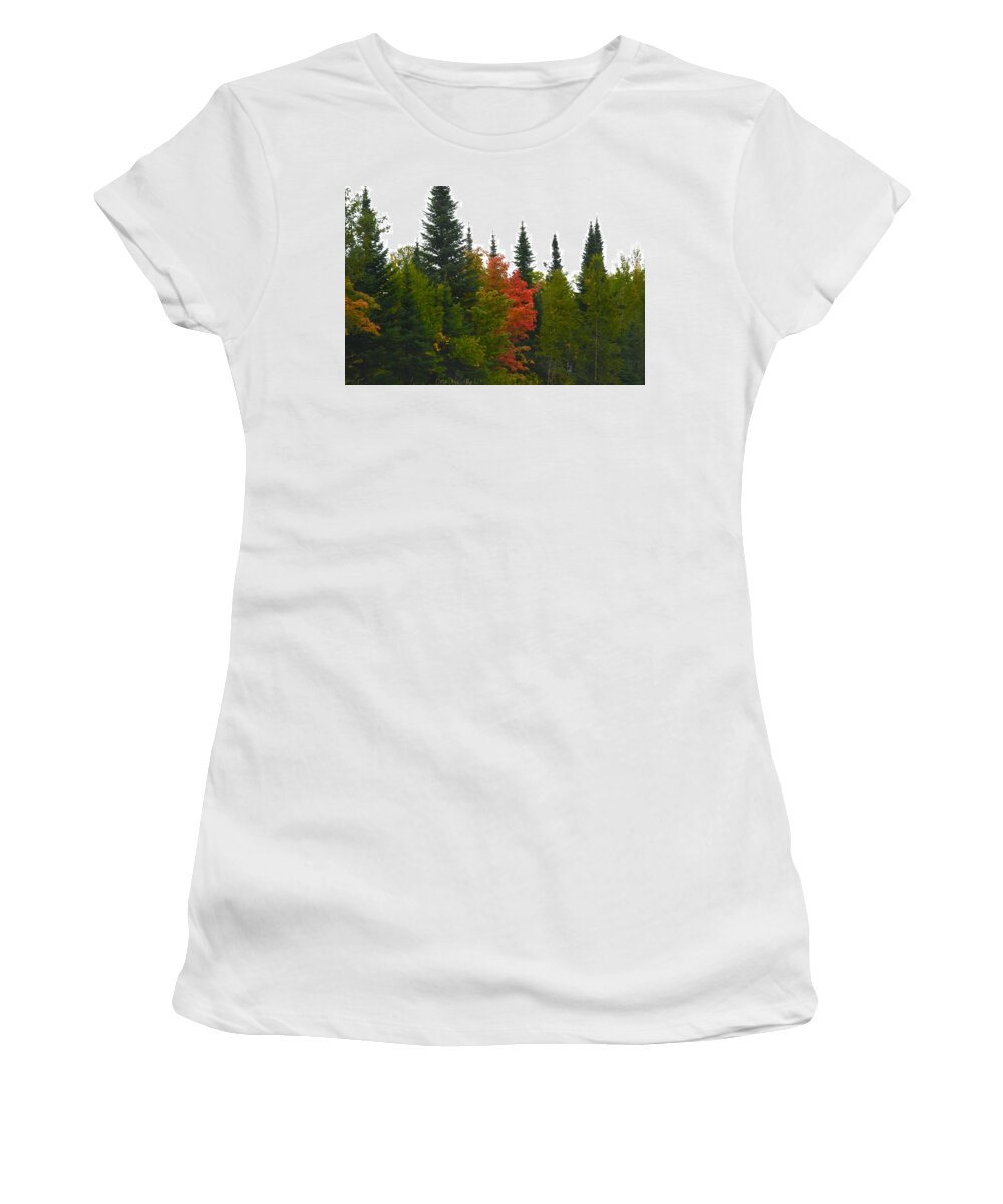 Color Women's T-Shirt featuring the photograph Fall Colors Are Starting by Hella Buchheim