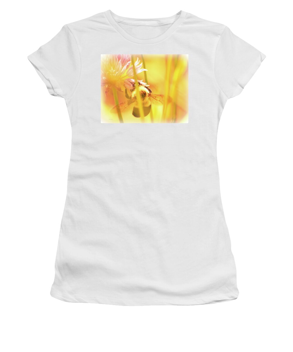 Bees Women's T-Shirt featuring the photograph Fame is a bee by Bob Orsillo