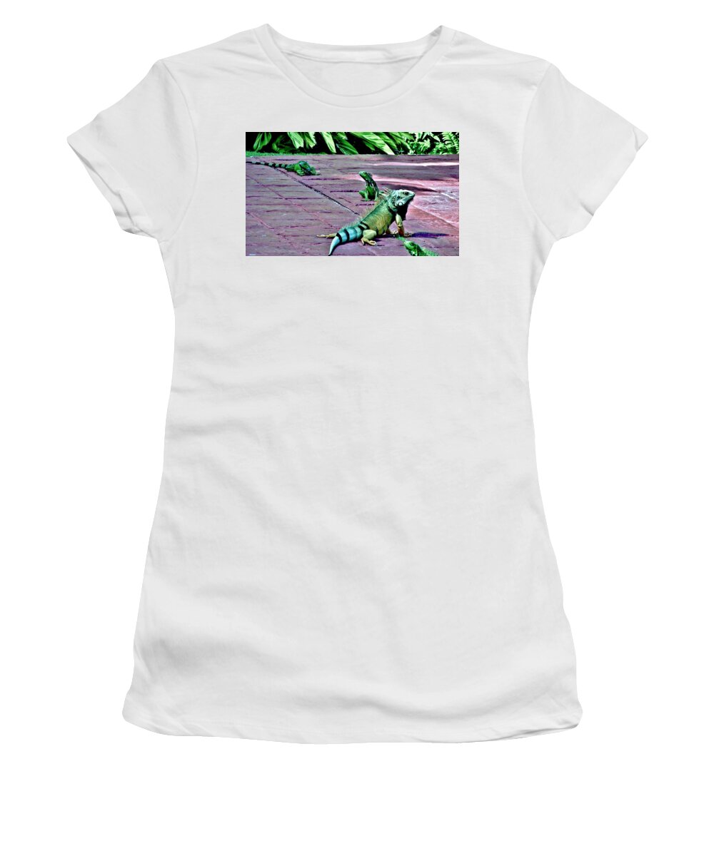 Iguana Women's T-Shirt featuring the photograph Family of Iguanas by Eileen Brymer