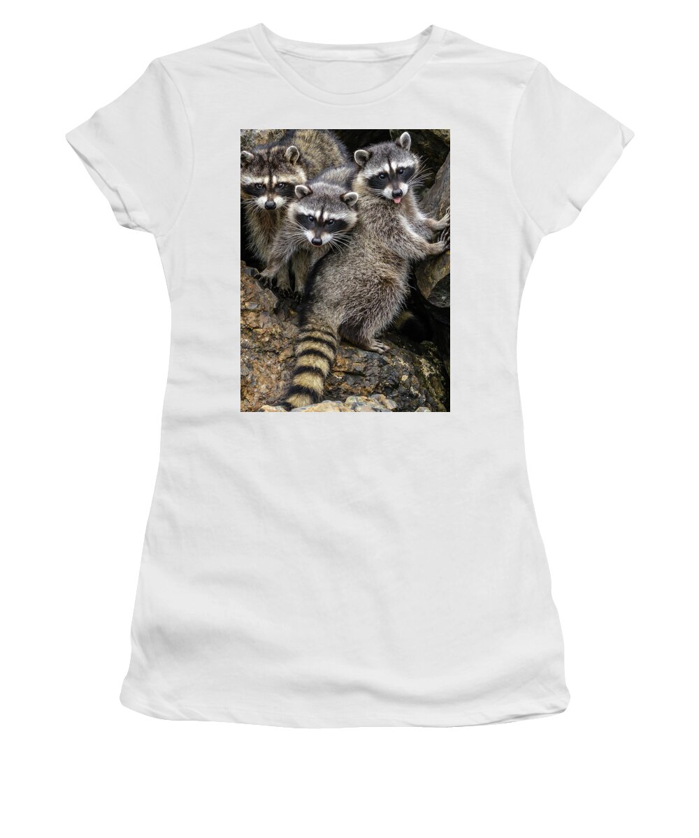 Raccon Women's T-Shirt featuring the photograph Family Portrait by Jerry Cahill