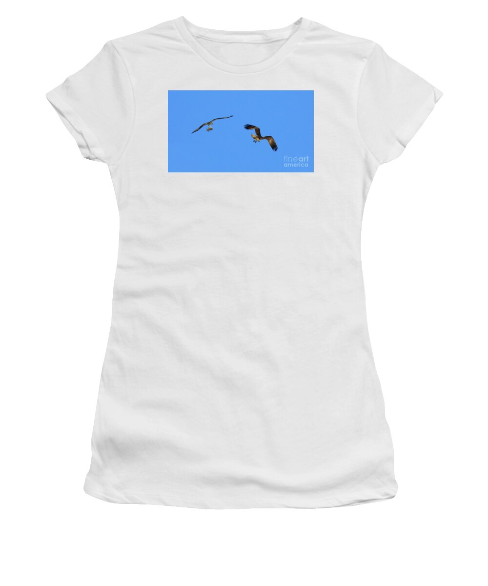  Ospreys Flying Women's T-Shirt featuring the photograph Finishing Touches by Scott Cameron