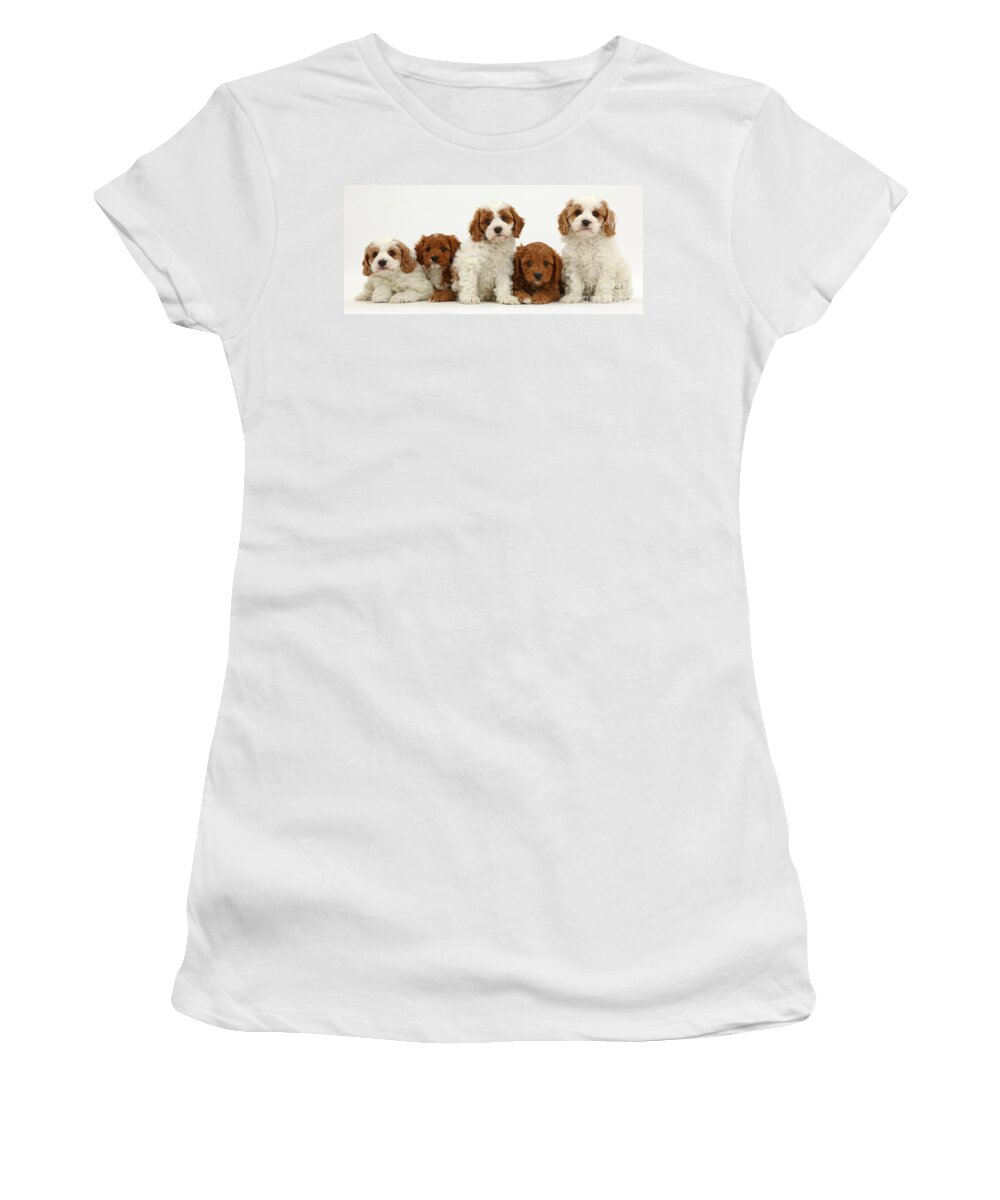 Nature Women's T-Shirt featuring the photograph Five Cavapoo Puppies by Mark Taylor