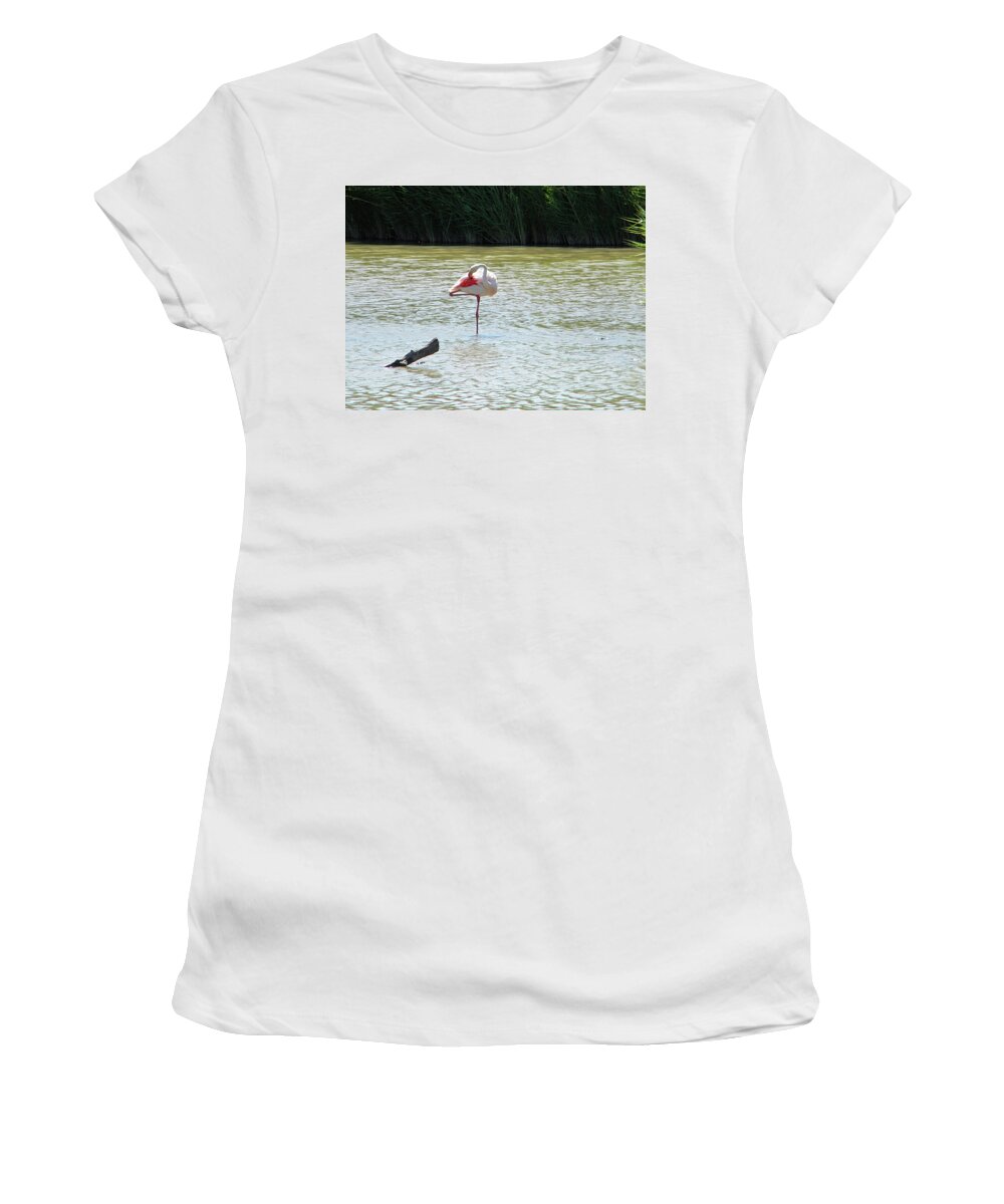 Flamingo Women's T-Shirt featuring the photograph Flamingo by Manuela Constantin