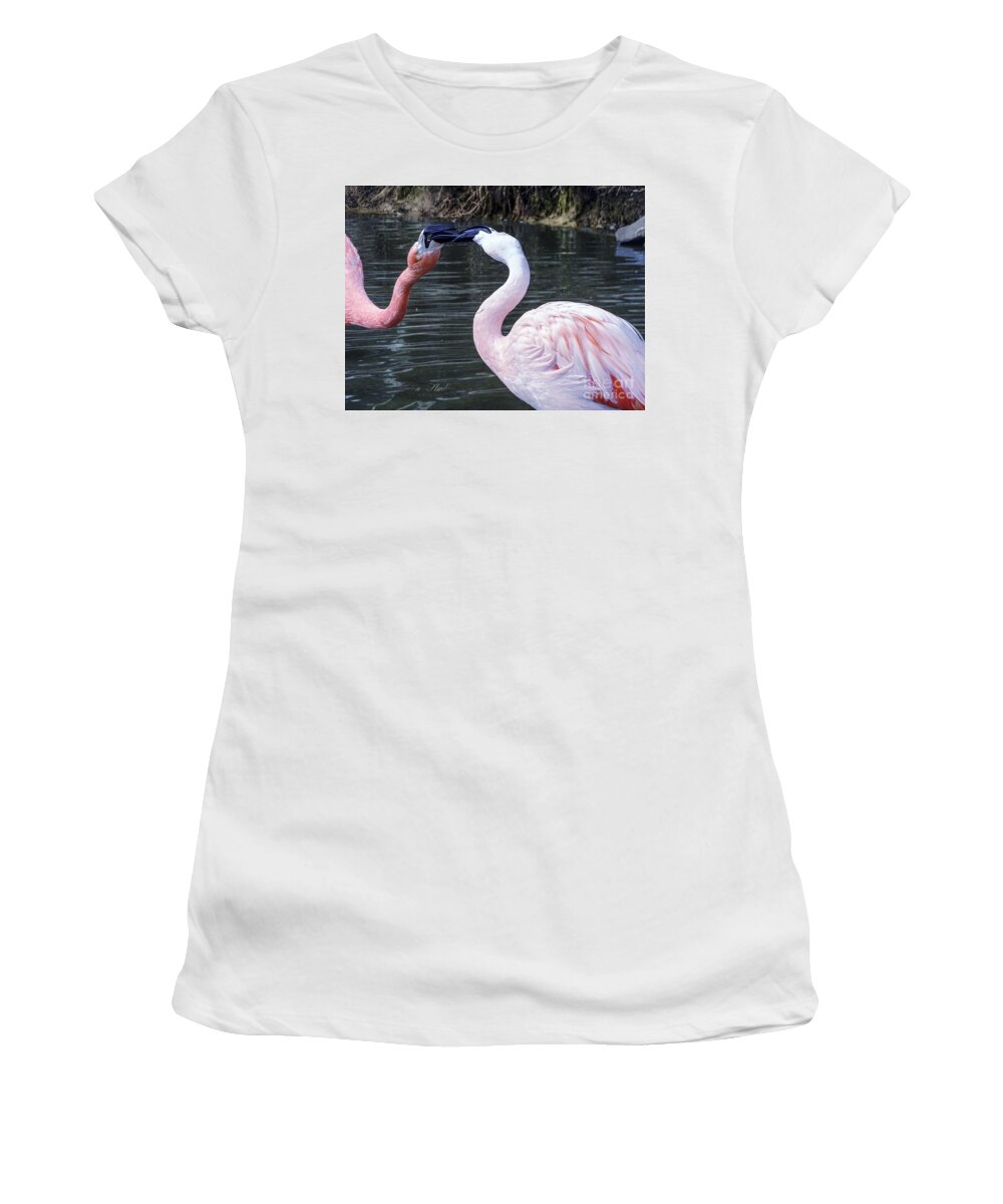 Flamingos Women's T-Shirt featuring the photograph Flamingos at Play by Melissa Messick