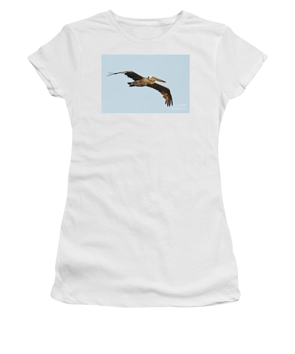 Brown Pelican Women's T-Shirt featuring the photograph Flight of the Pelican by Natural Focal Point Photography