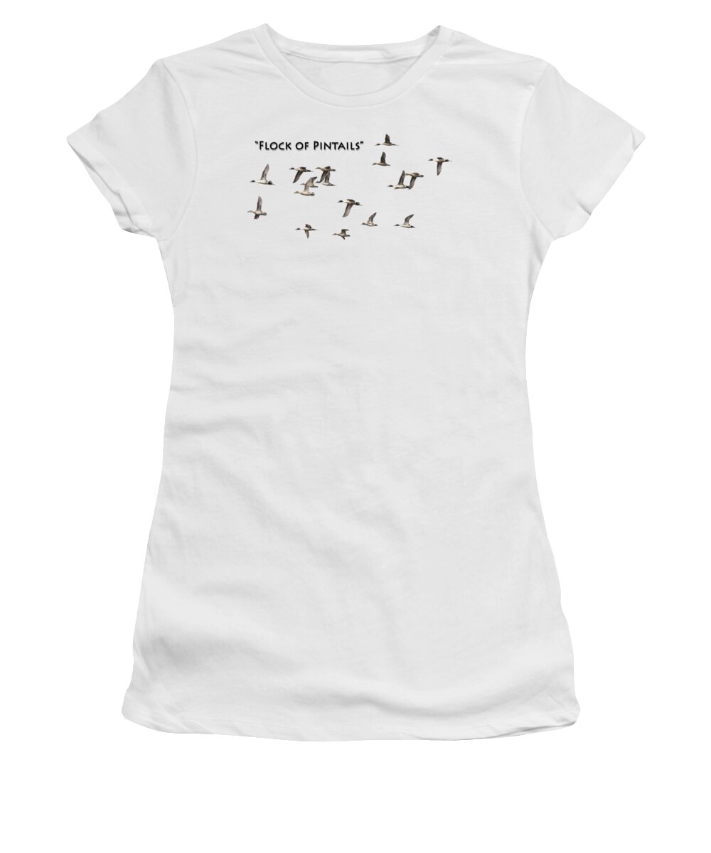 Pintail Or Northern Pintail (anas Acuta) Women's T-Shirt featuring the photograph Flock Of Pintails by Thomas Young