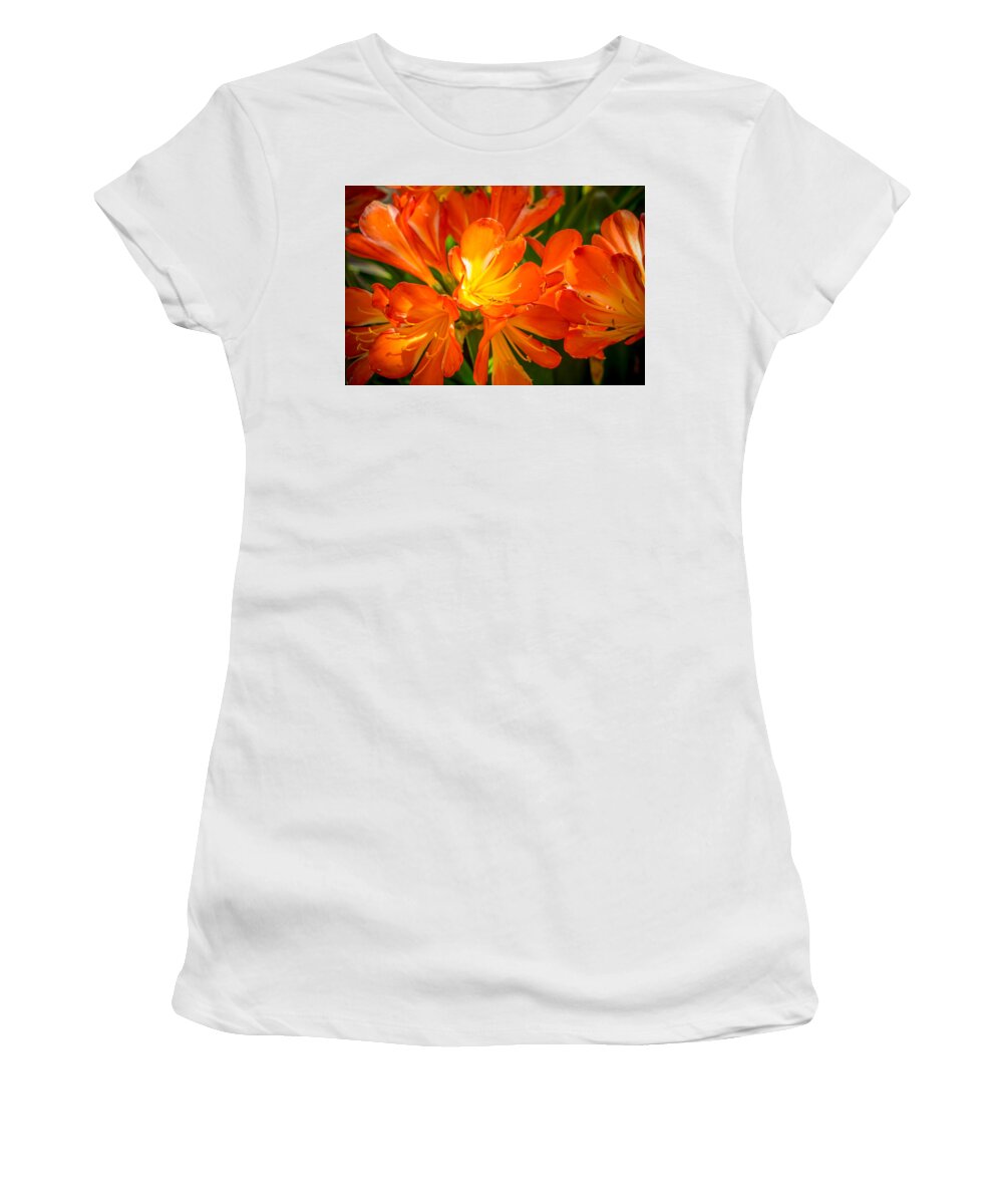 Flowers Women's T-Shirt featuring the photograph Floral Burst by Derek Dean