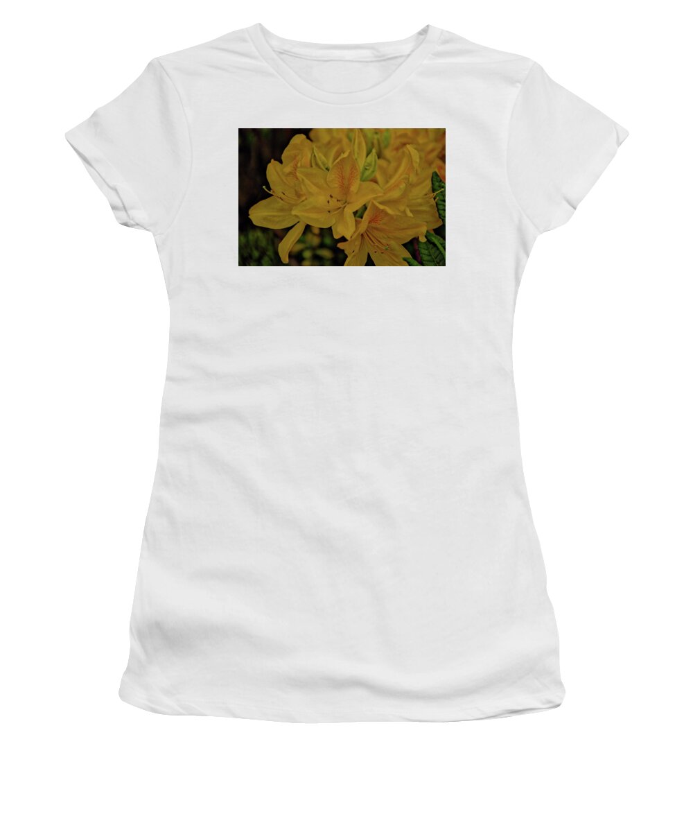 Belgium Women's T-Shirt featuring the photograph Flower 6 by Ingrid Dendievel