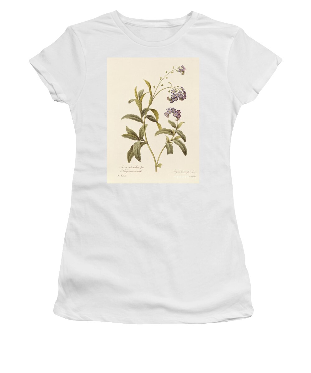 Forget-me-not Women's T-Shirt featuring the drawing Forget Me Not by Pierre Joseph Redoute