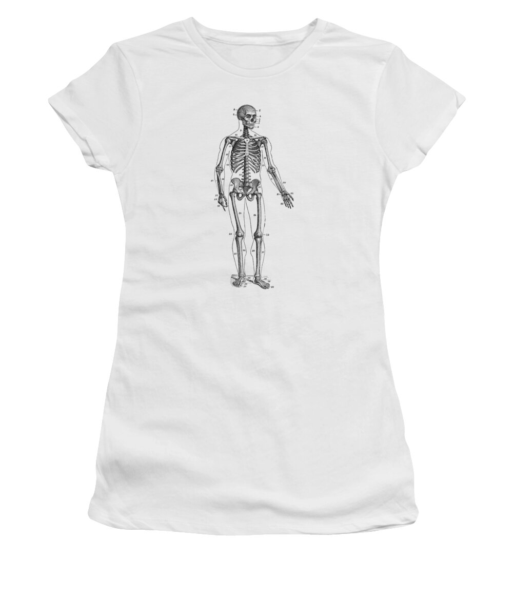 Skeleton Women's T-Shirt featuring the drawing Forward Facing Skeletal Diagram - Vintage Anatomy Poster by Vintage Anatomy Prints