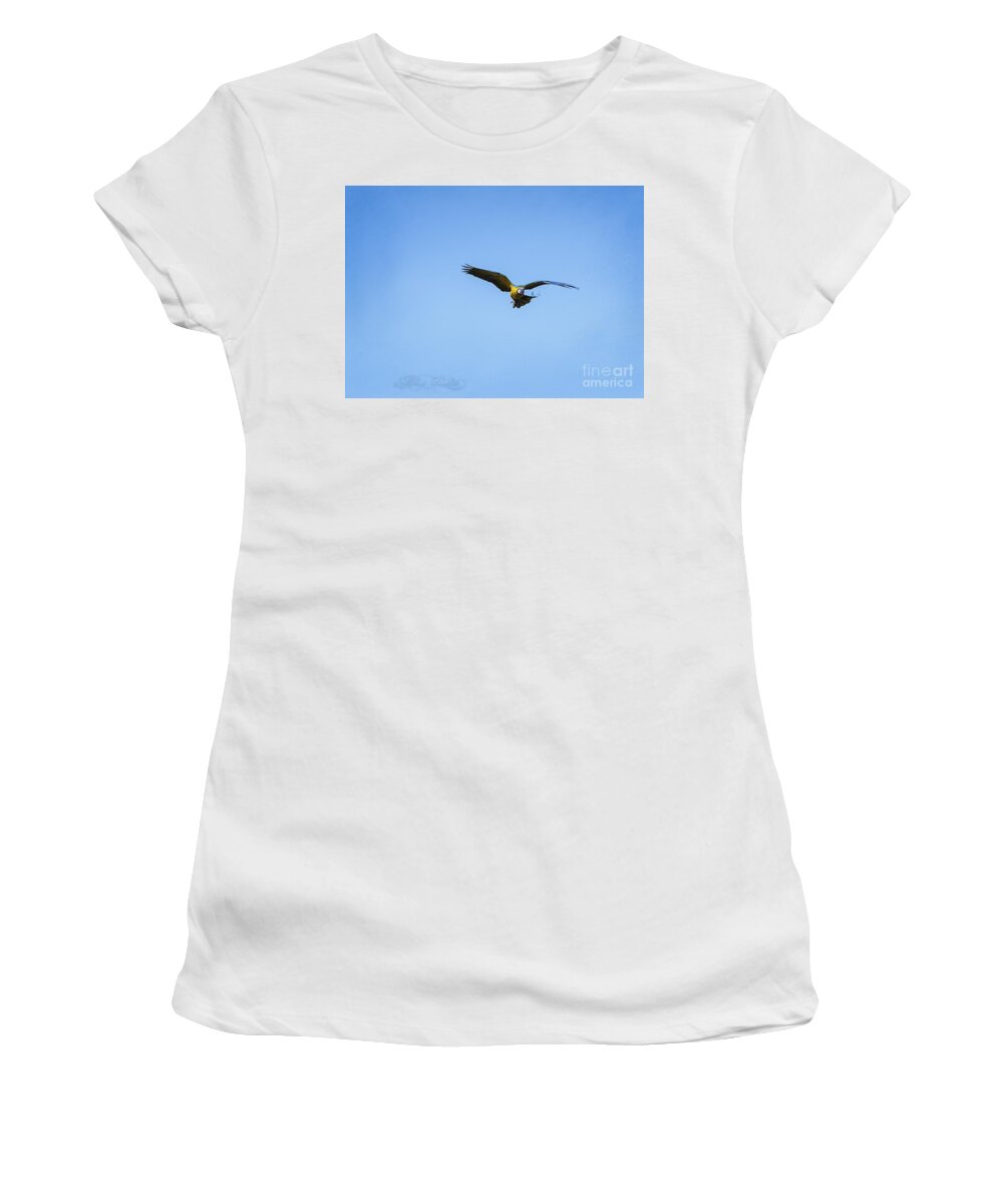 Photoshop Women's T-Shirt featuring the photograph Free Flying Macaw by Melissa Messick