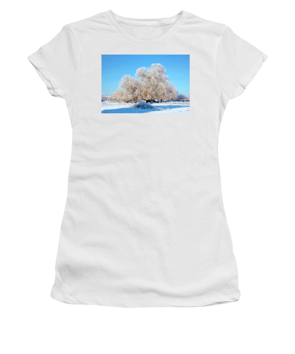 Frost Women's T-Shirt featuring the photograph Frosty by Michael Dawson