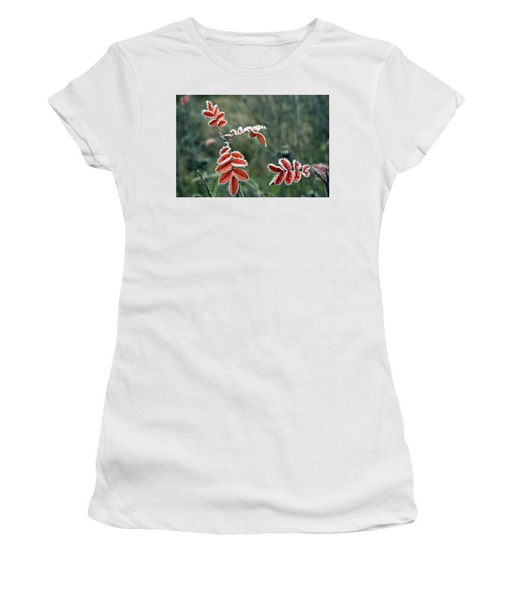 Frost Women's T-Shirt featuring the photograph Frosty rose leaves by Jarmo Honkanen