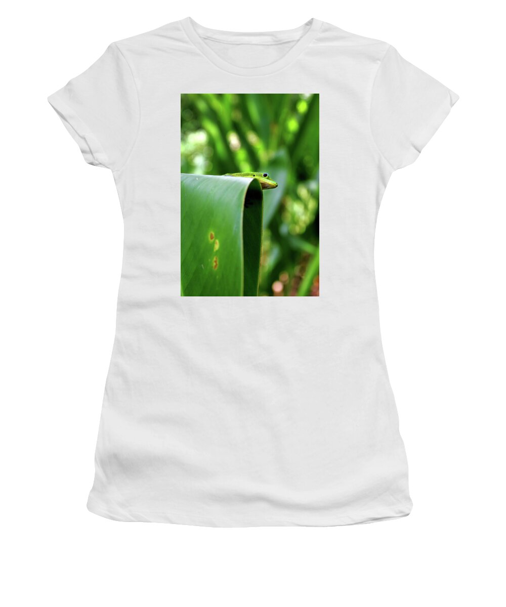 Hawaii Women's T-Shirt featuring the photograph GeckoOverlook by Anthony Jones