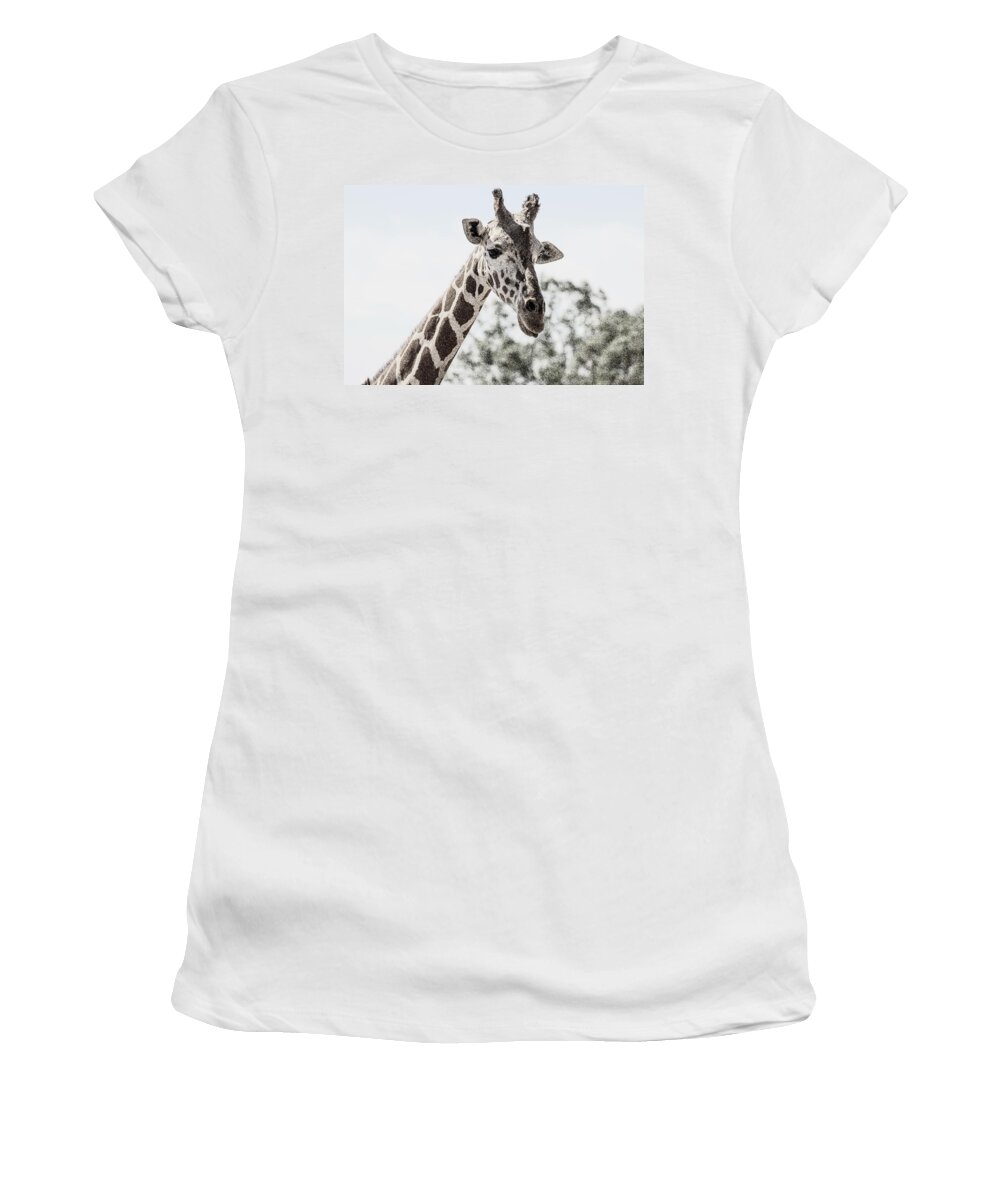 Giraffe Women's T-Shirt featuring the digital art Giraffe by Darrell Foster