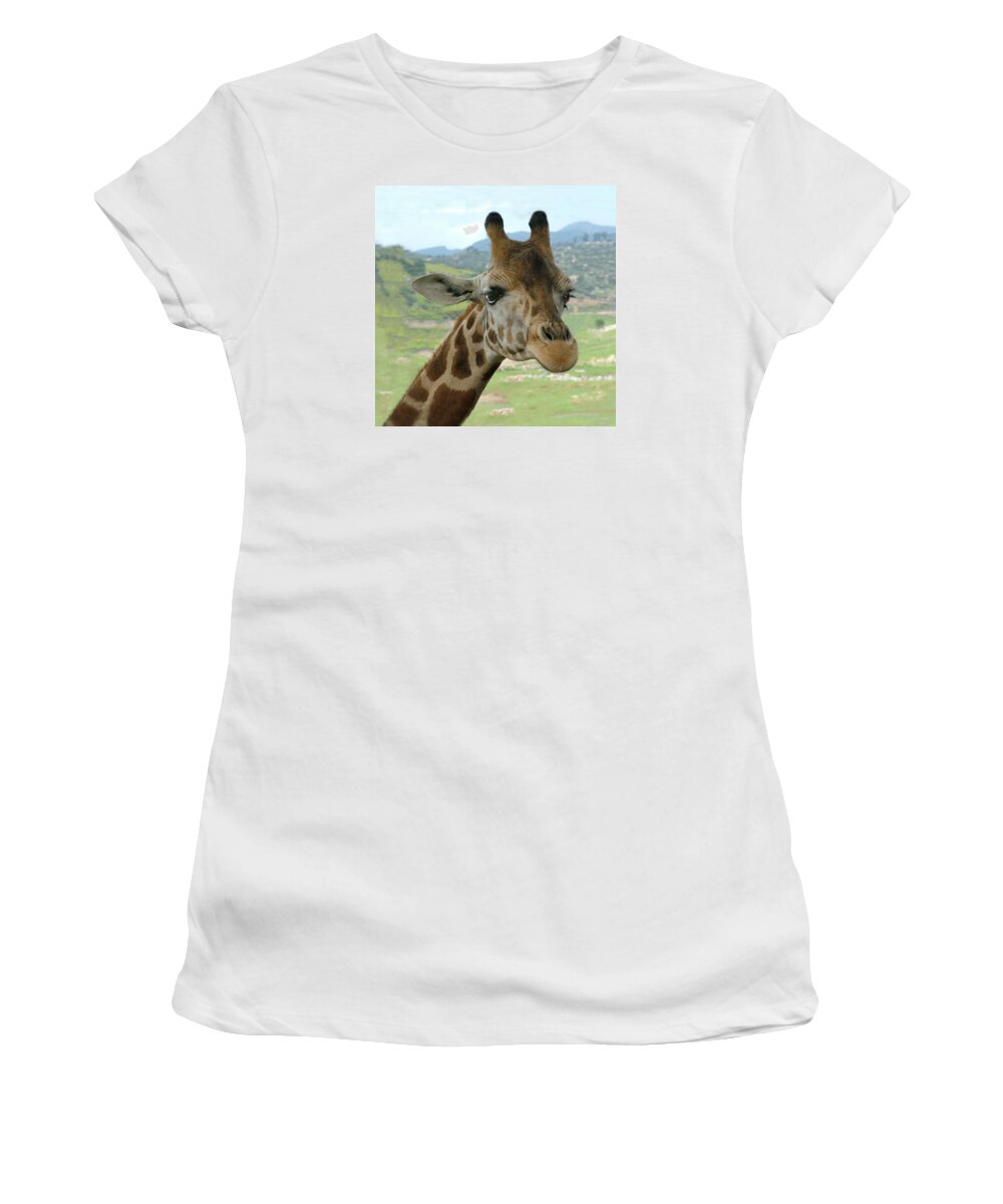 Giraffe Women's T-Shirt featuring the photograph Giraffe Portrait by William Bitman