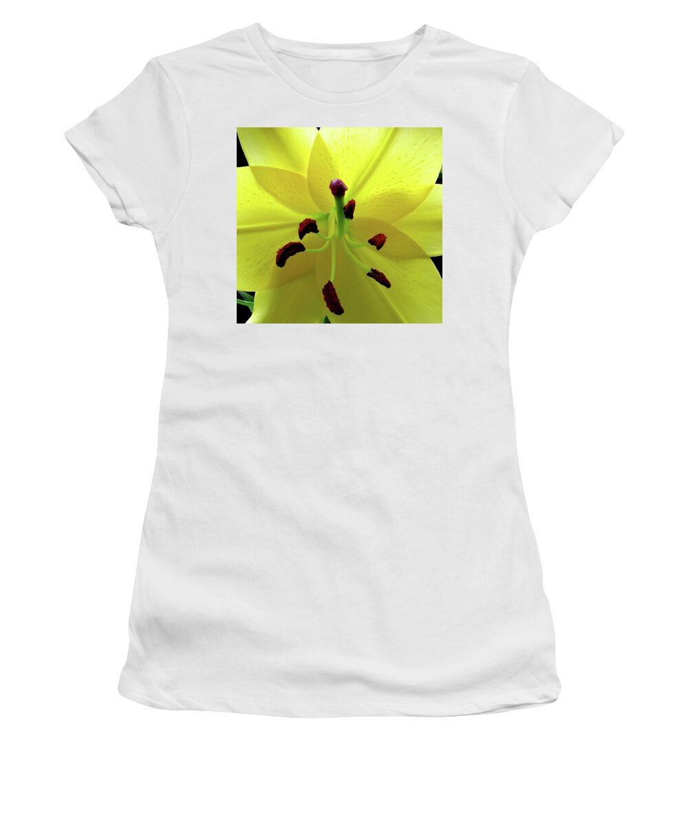 Flower Women's T-Shirt featuring the photograph Glowing Lily by Linda Stern