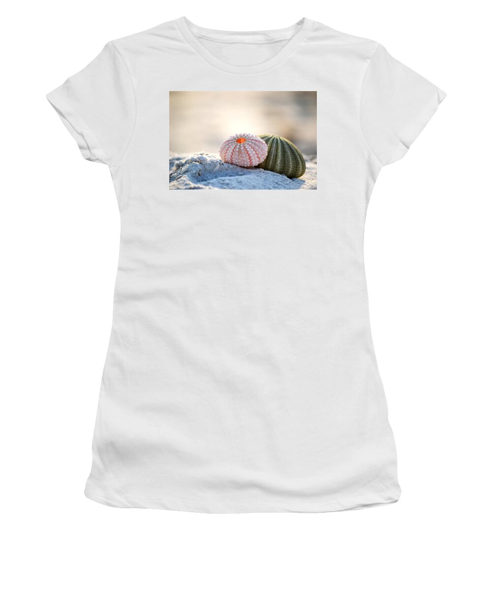 Urchin Women's T-Shirt featuring the photograph Gone Shelling by Melanie Moraga