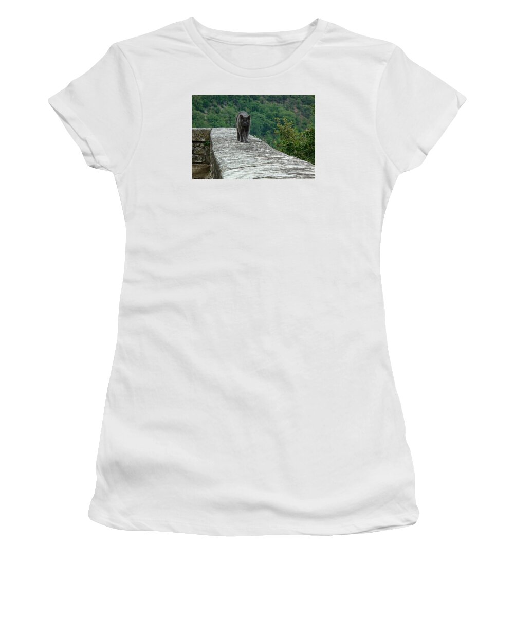 Gray Cat Women's T-Shirt featuring the photograph Gray Cat Prowling by Gary Karlsen