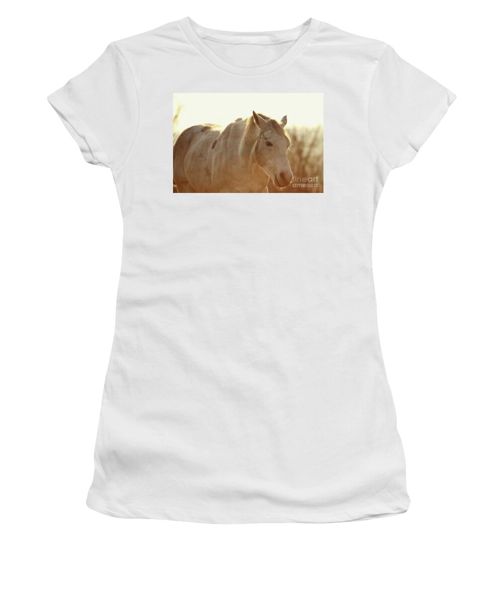 Horse Women's T-Shirt featuring the photograph Grazing Horse by Dimitar Hristov