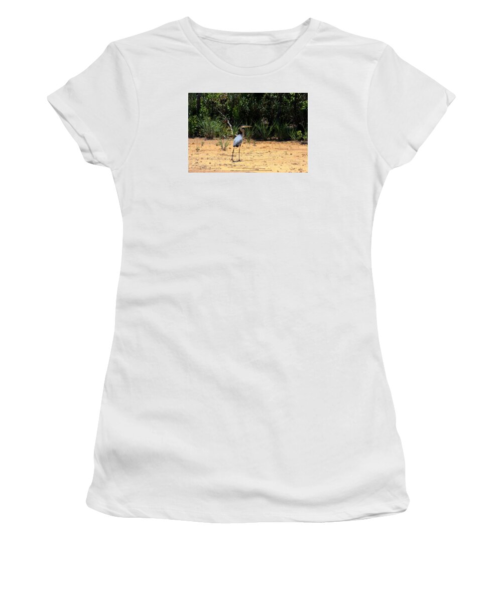 Nature Women's T-Shirt featuring the photograph Great Blue Heron on Beach by Sheila Brown