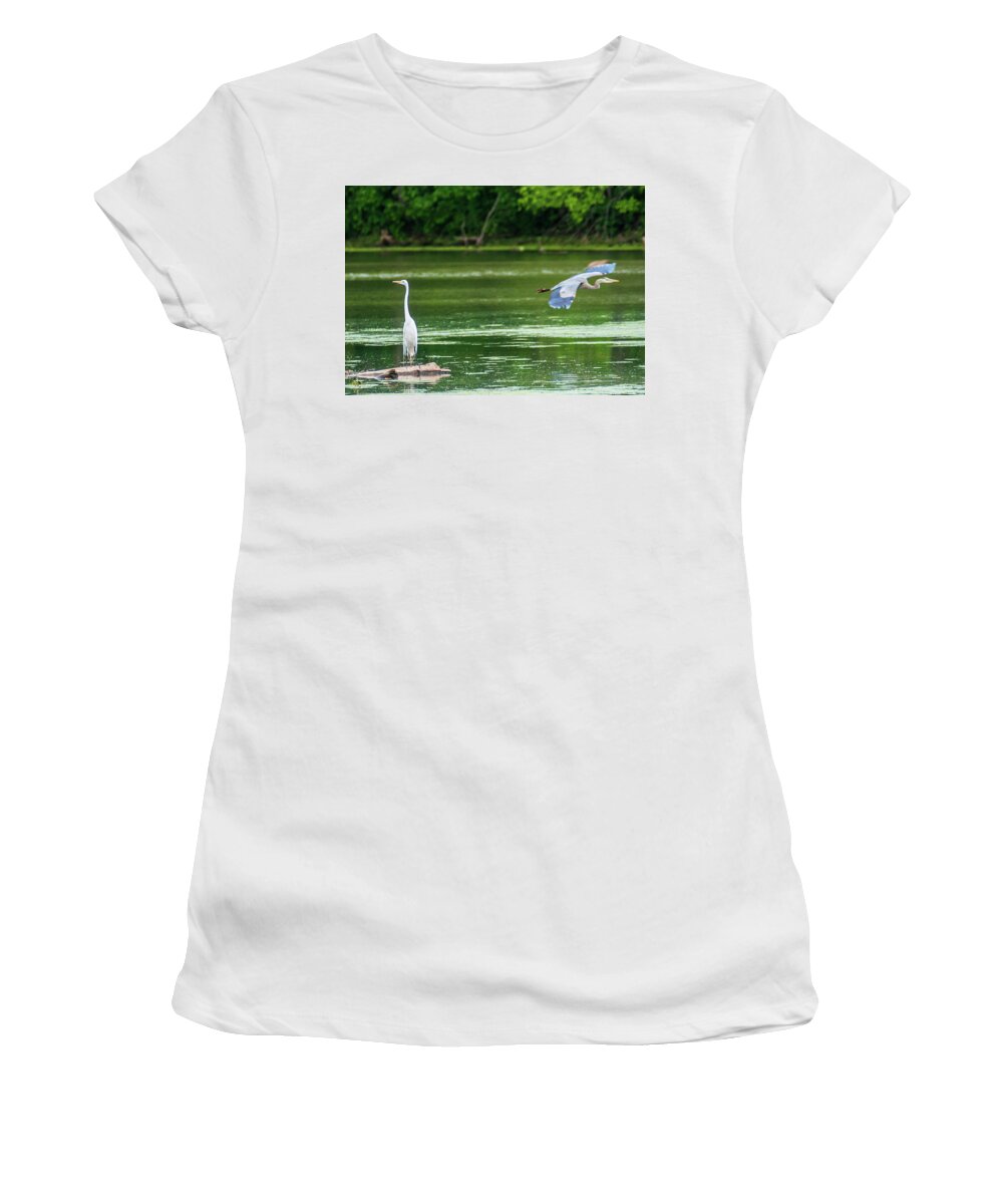 Great Blue Heron Women's T-Shirt featuring the photograph Great Egret And Great Blue Heron by Ed Peterson