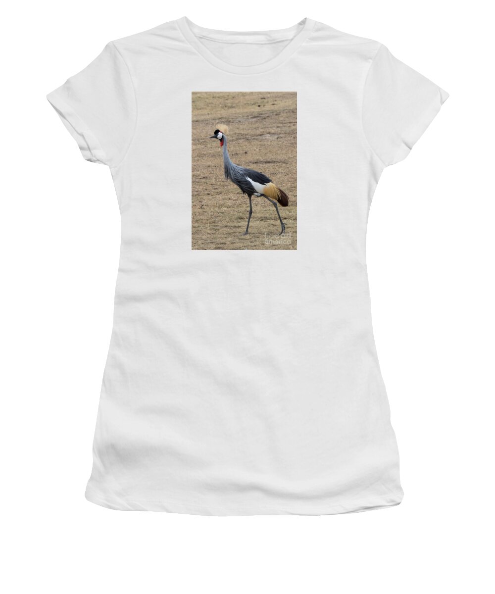Cranes Women's T-Shirt featuring the photograph Grey Crowned Crane in the Wild by Pravine Chester