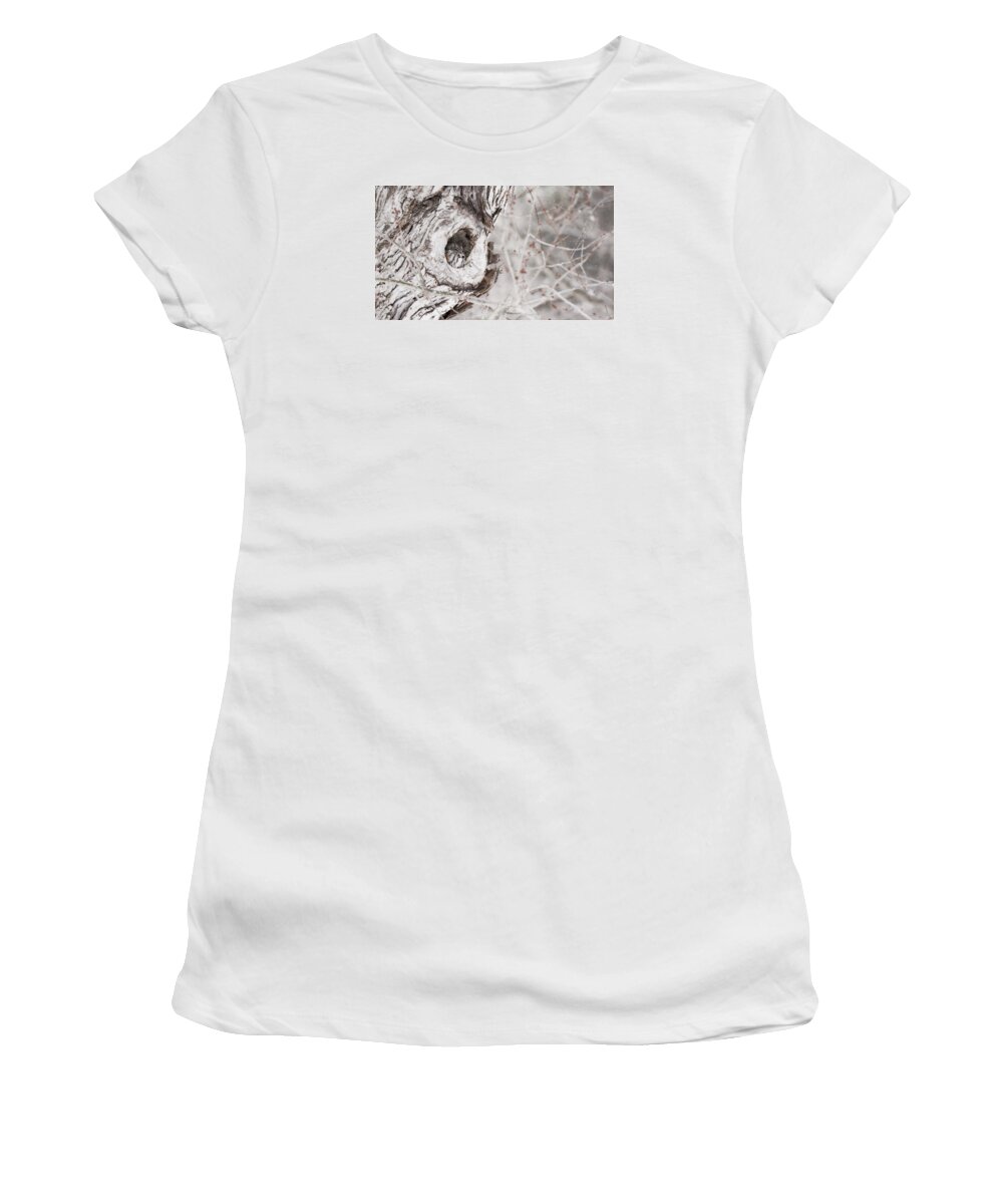 Grey Morph Eastern Screech Owl As An Oil Painting Women's T-Shirt featuring the photograph Grey Morph Eastern Screech Owl as an Oil Painting by Tracy Winter