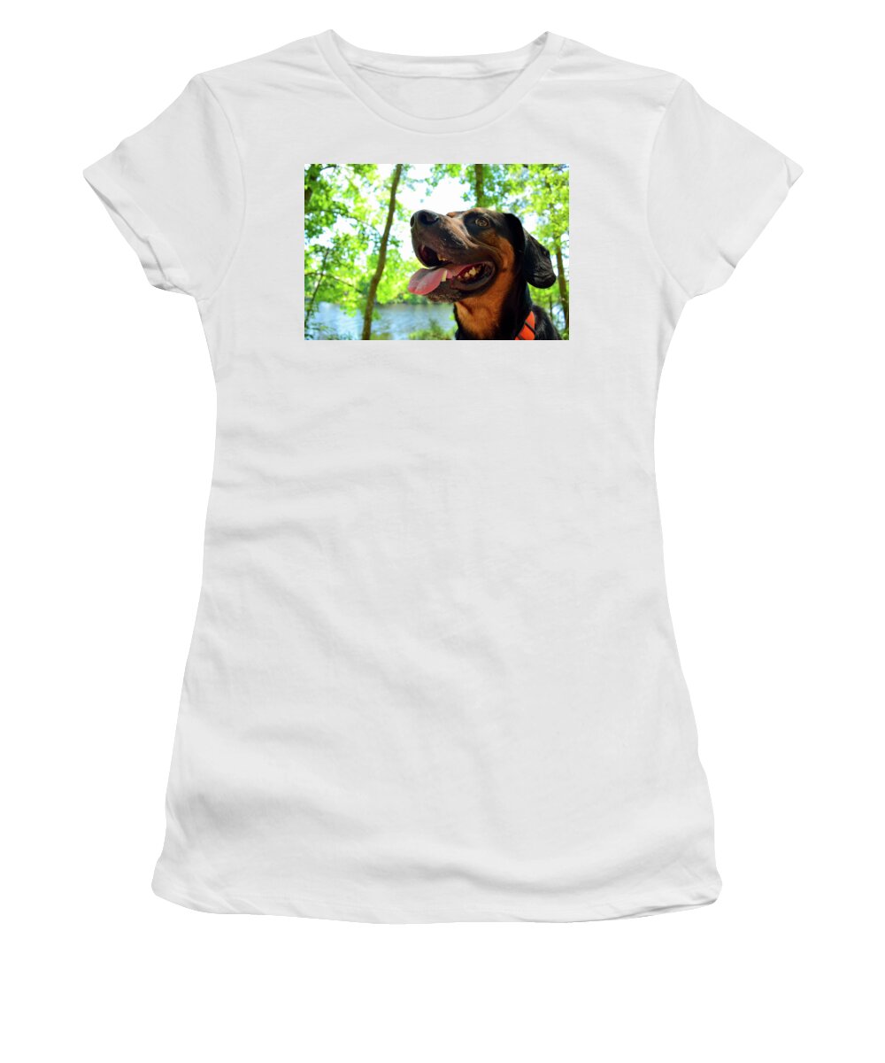 Hike Women's T-Shirt featuring the photograph Gus on a Hike by Nicole Lloyd