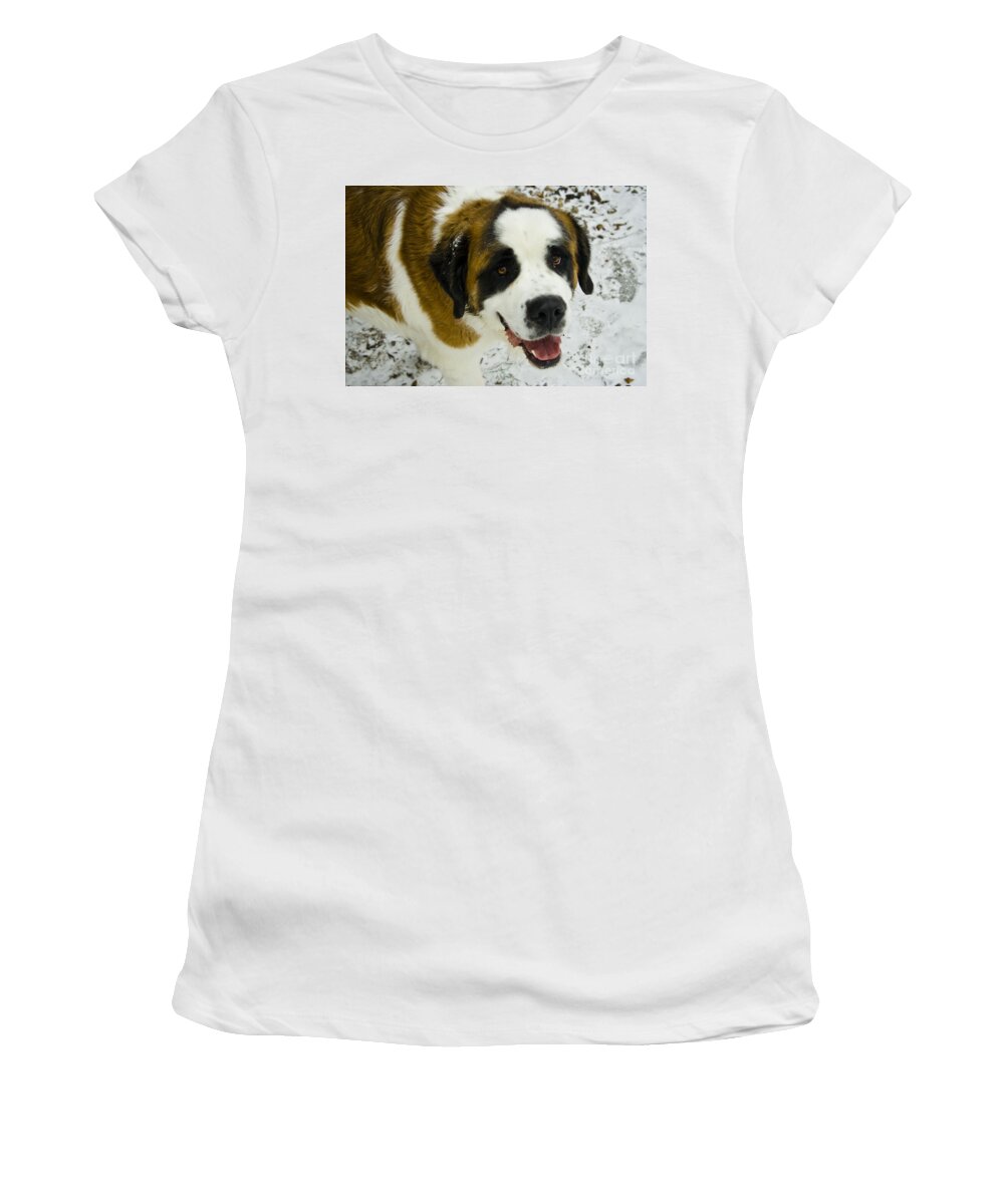  Women's T-Shirt featuring the photograph Happy Tank by JamieLynn Warber