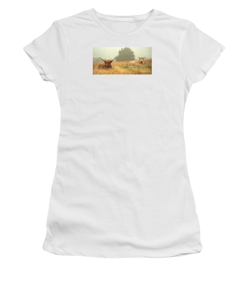 Cows Women's T-Shirt featuring the photograph Heelans In The Mist by Linsey Williams