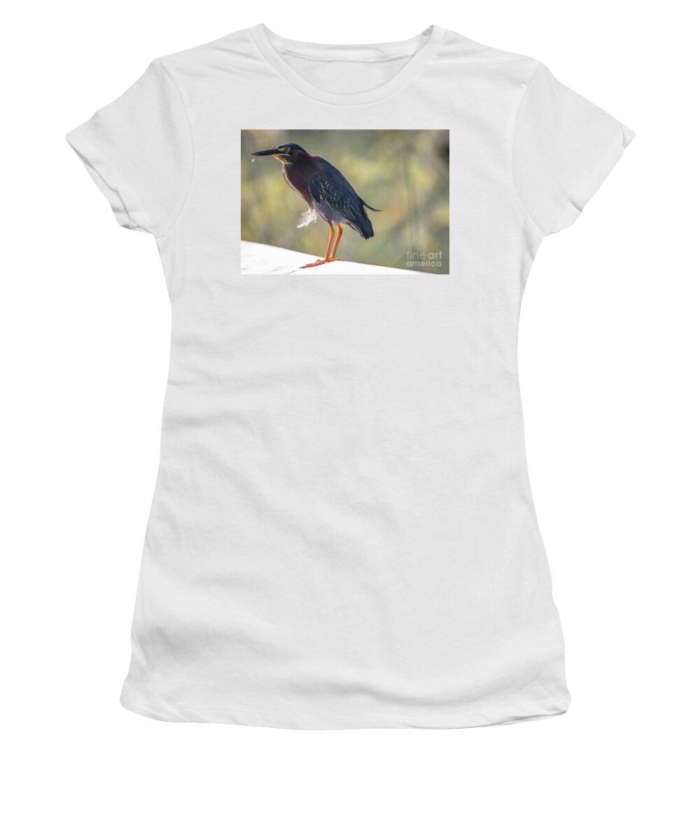Heron Women's T-Shirt featuring the photograph Heron with Ruffled Feathers by Tom Claud