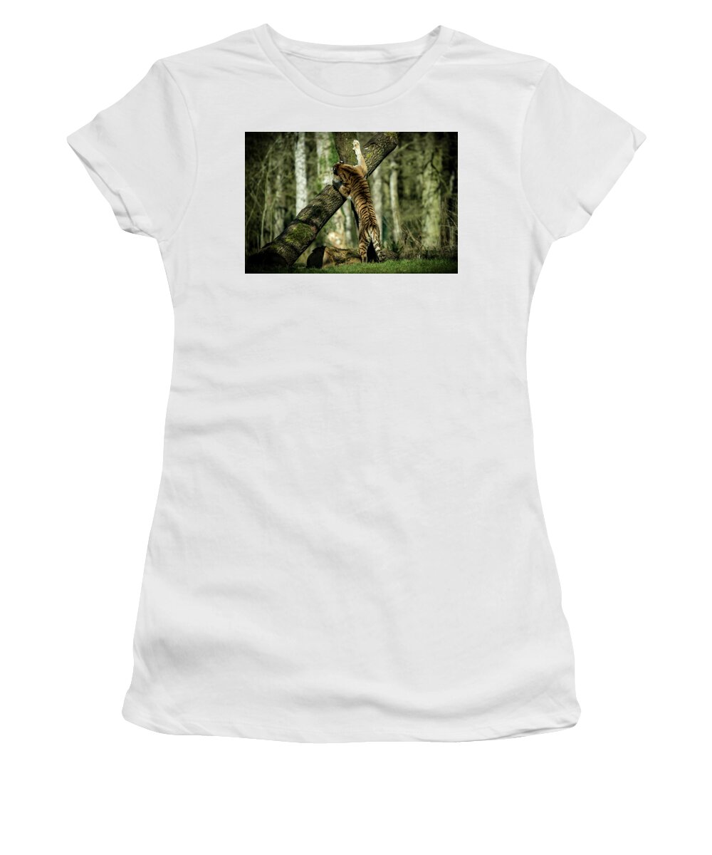Tiger Women's T-Shirt featuring the photograph Hide and Seek by Chris Boulton