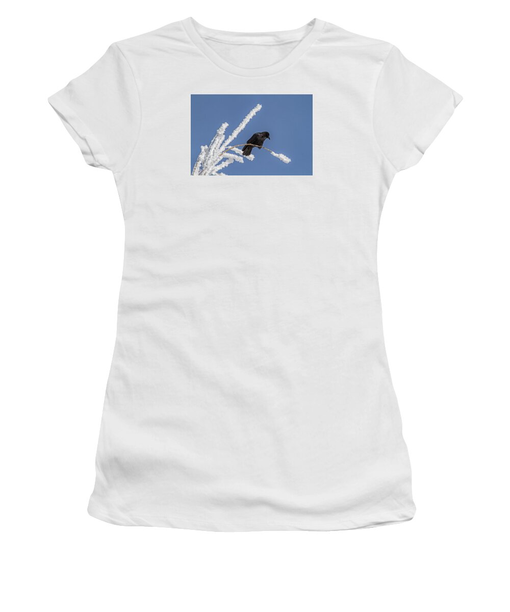 Frost Women's T-Shirt featuring the photograph Hoarfrost and the Crow by Alana Thrower