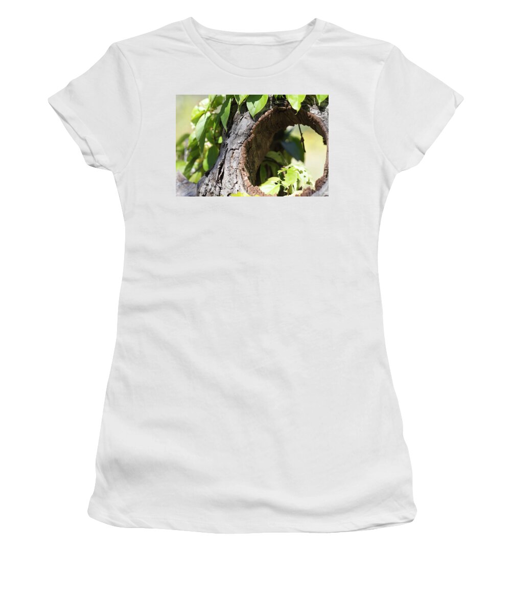 Maine Women's T-Shirt featuring the photograph Hole by Mark Alesse