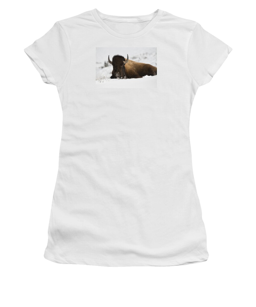 Winter Women's T-Shirt featuring the photograph Horn of Plenty by Bill Cubitt