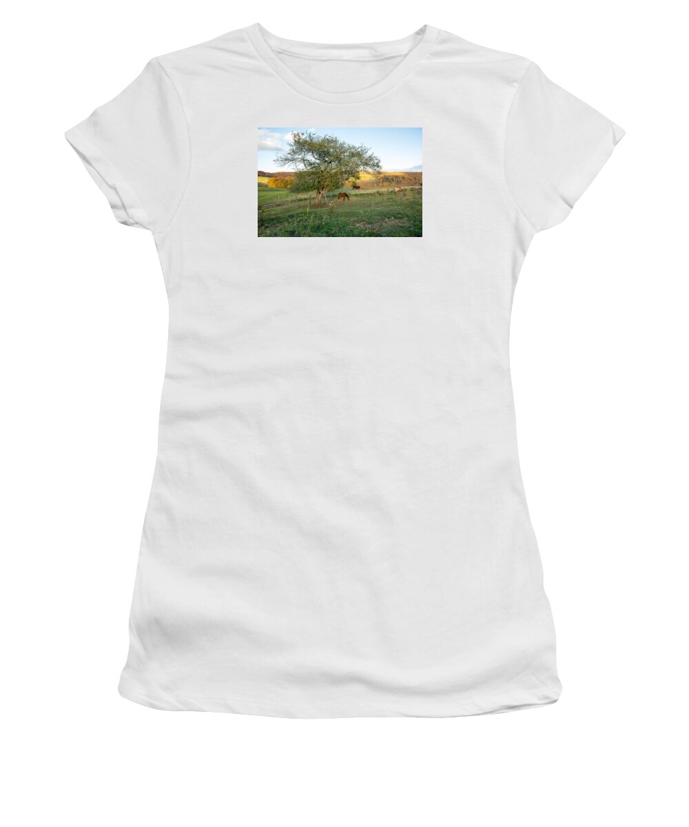 Jenne Farm Women's T-Shirt featuring the photograph Horse in front of tree, sunset, Reading Vermont by Nicole Freedman