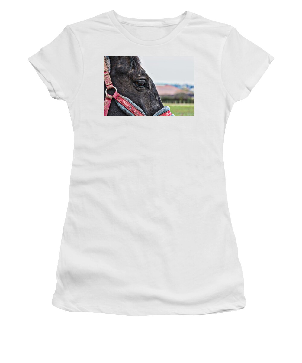 Animals Women's T-Shirt featuring the photograph Horse Riding Horse by Rabiri Us