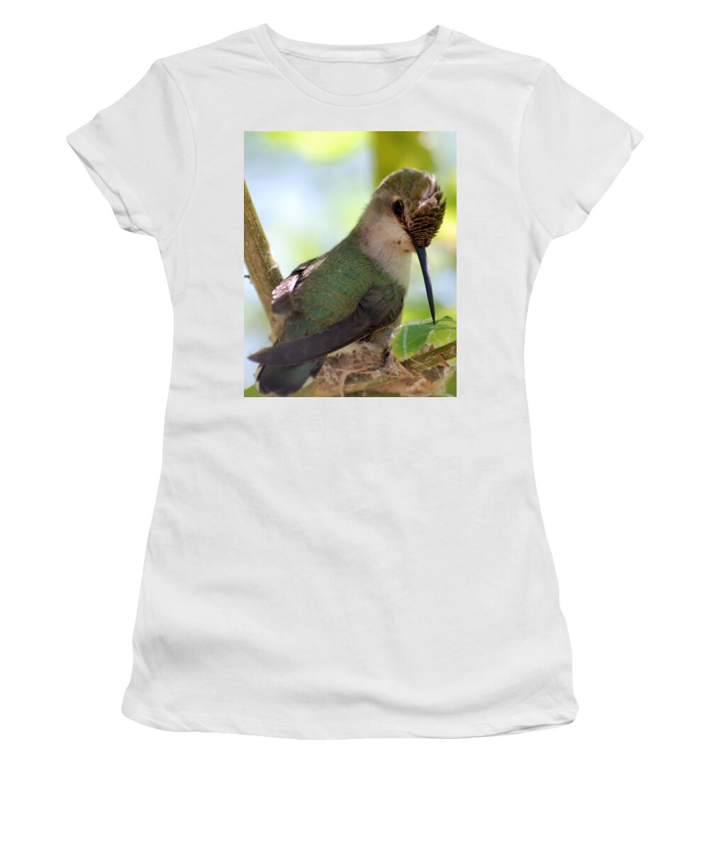 Hummingbird Women's T-Shirt featuring the photograph Hummingbird with small nest by Amy Fose