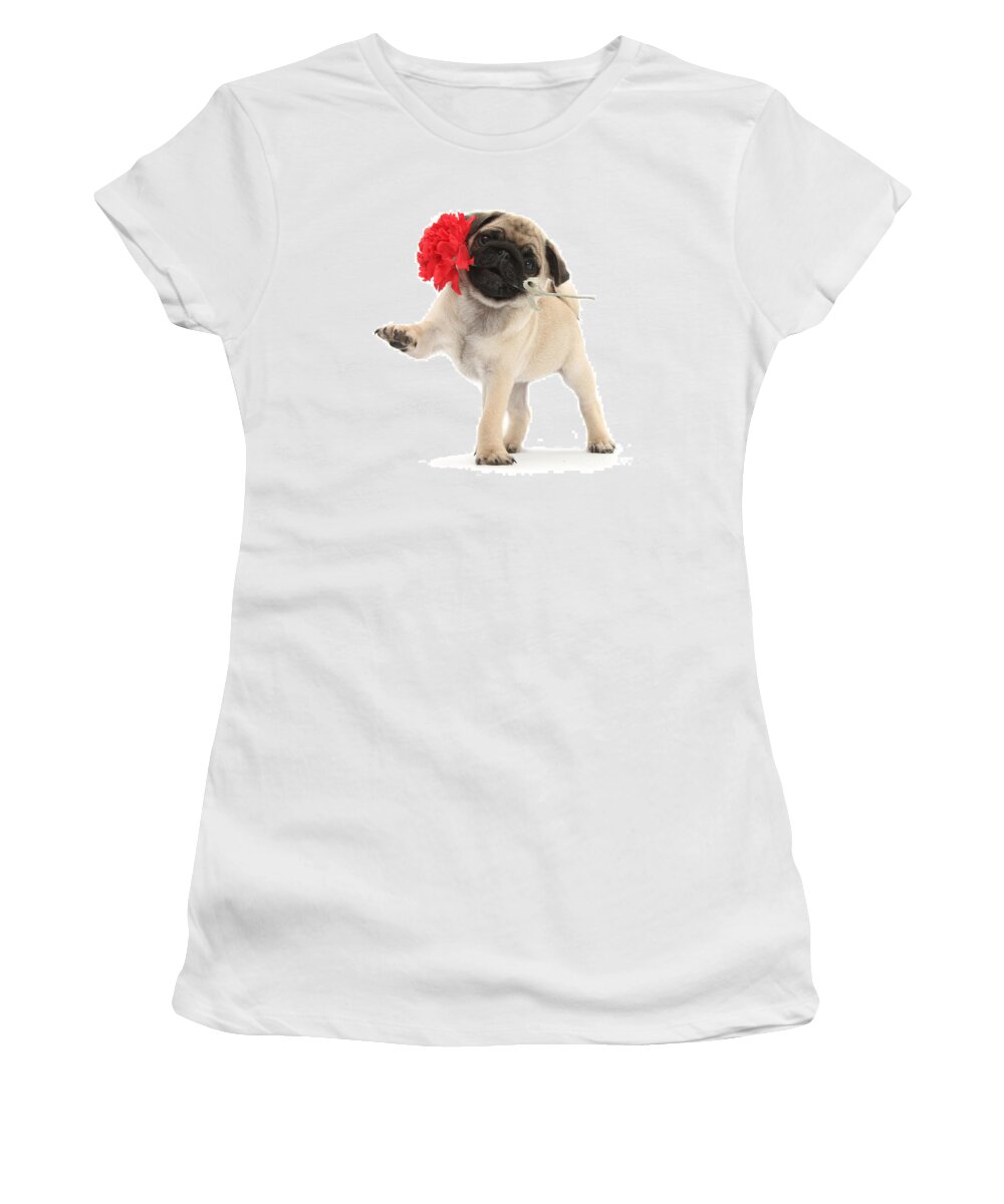Fawn Pug Women's T-Shirt featuring the photograph I Wuff You Pug Pup by Warren Photographic