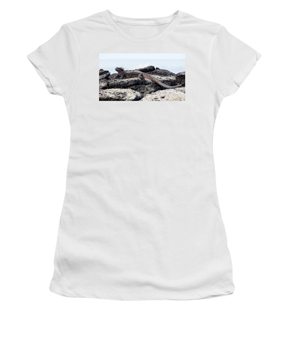 Iguana Women's T-Shirt featuring the photograph Iguana by Jackie Russo