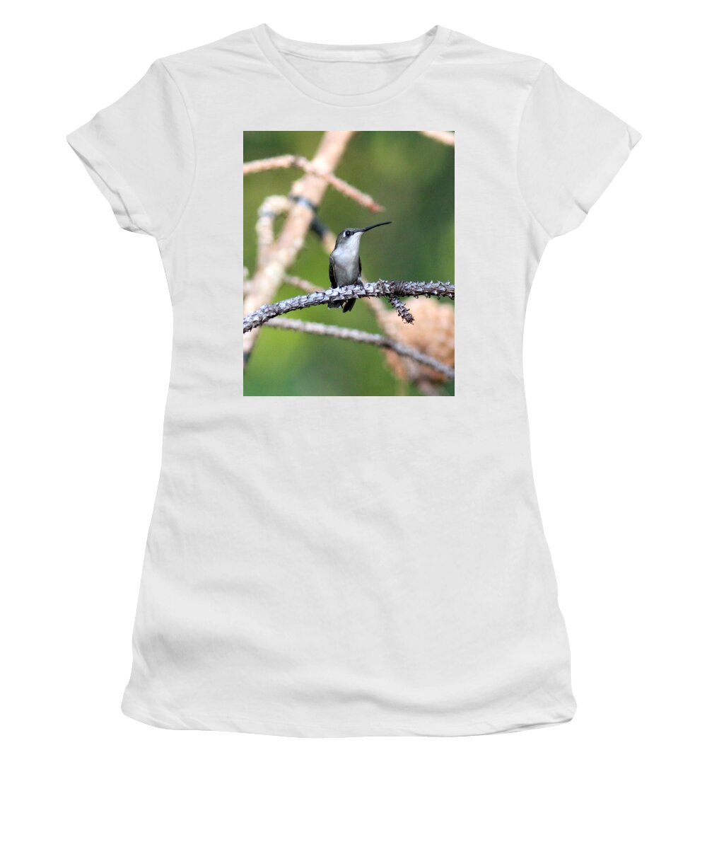 Ruby-throated Hummingbird Women's T-Shirt featuring the photograph IMG_3958 - Ruby-throated Hummingbird by Travis Truelove