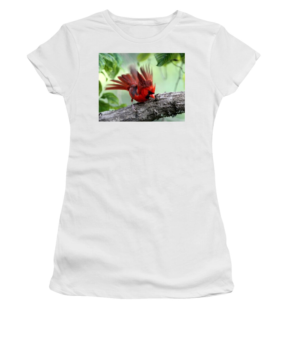 Northern Cardinal Women's T-Shirt featuring the photograph IMG_5716-002 - Northern Cardinal by Travis Truelove