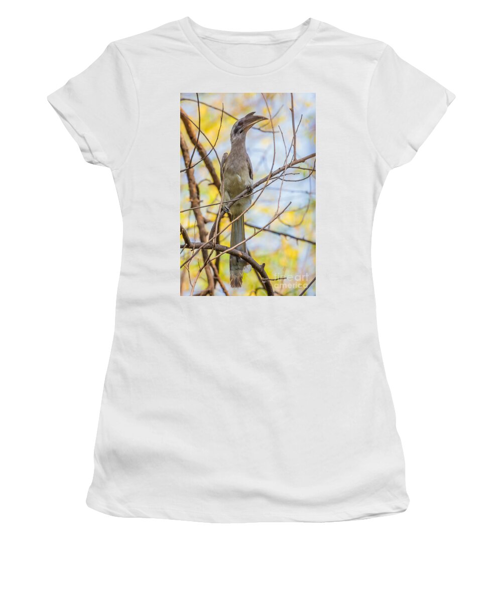 Indian Grey Hornbill Women's T-Shirt featuring the photograph Indian Grey Hornbill by B. G. Thomson