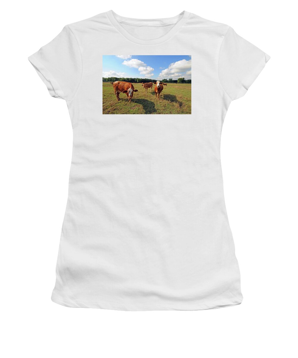 Inquisitive Women's T-Shirt featuring the photograph Inquisitive Cattle by Ted Keller