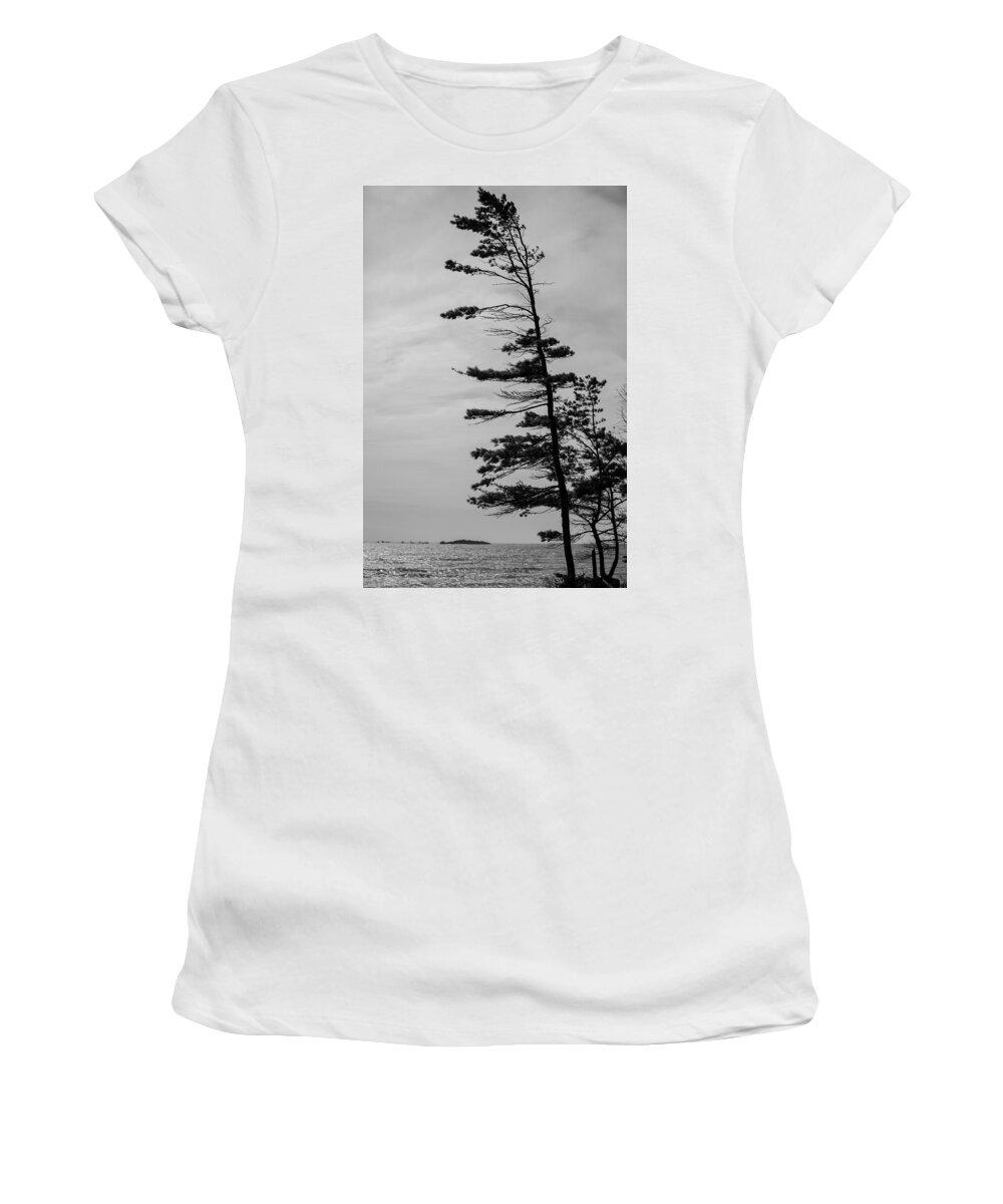 Washington Island Women's T-Shirt featuring the photograph Island tree by Ty Helbach