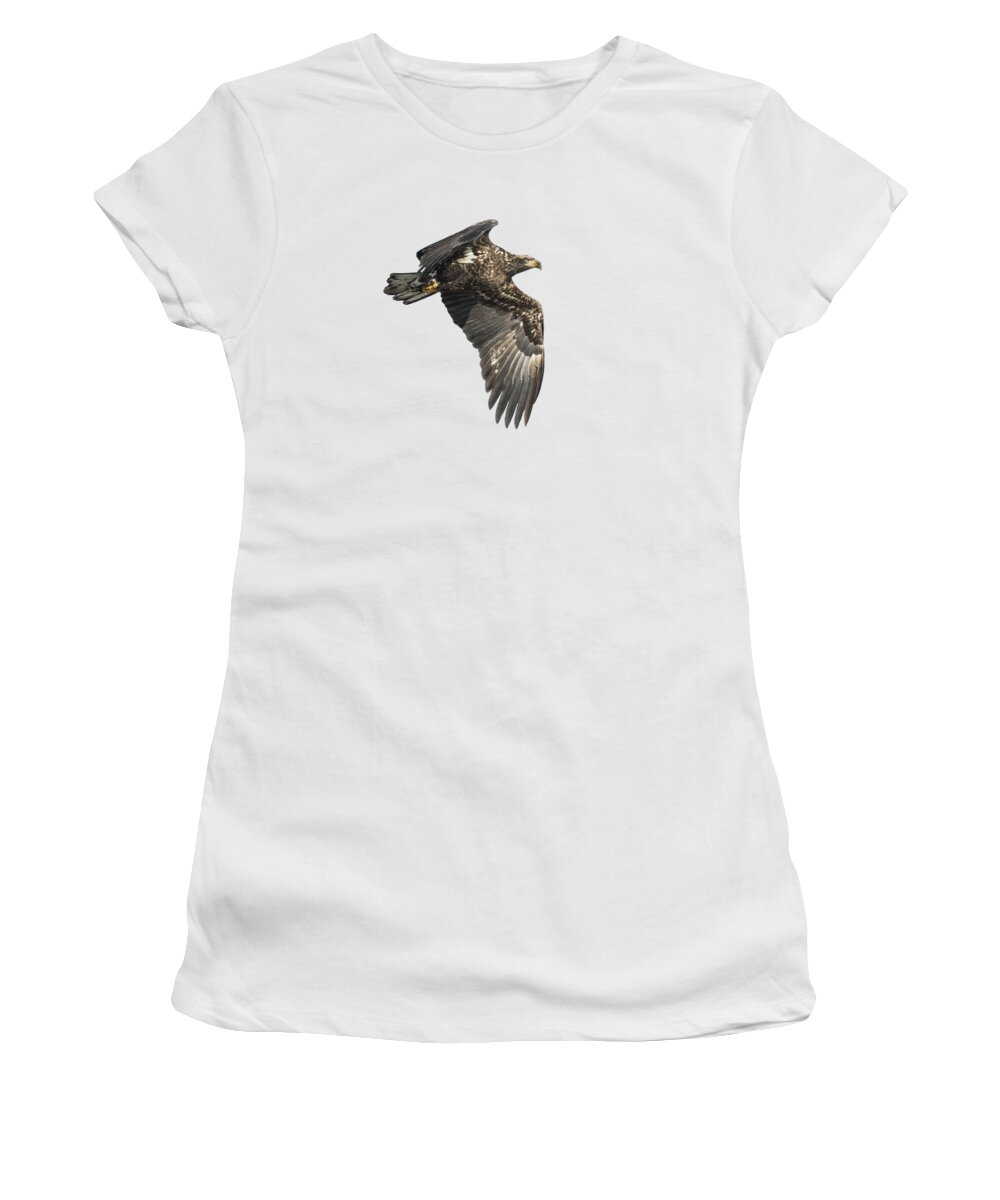 American Bald Eagle Women's T-Shirt featuring the photograph Isolated Eagle 2017-2 by Thomas Young