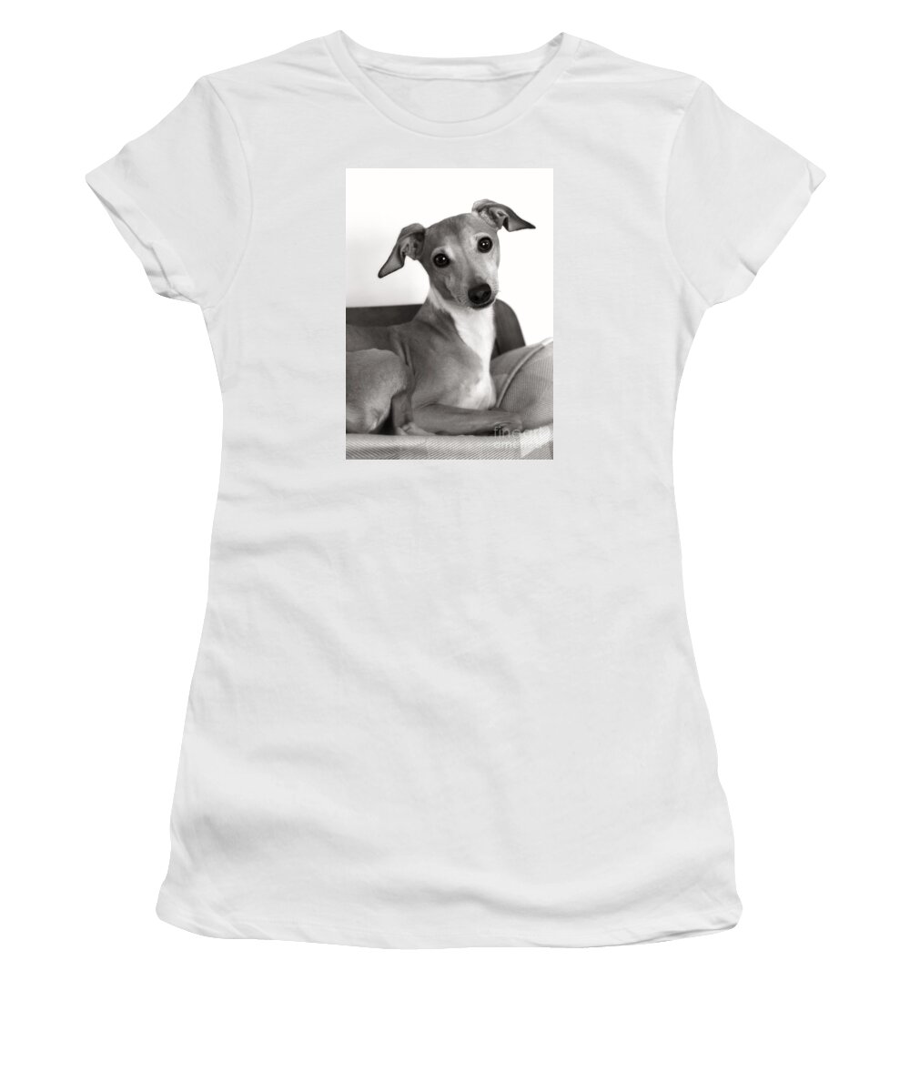 Black And White Women's T-Shirt featuring the photograph Italian Greyhound Portrait in Black and White by Angela Rath