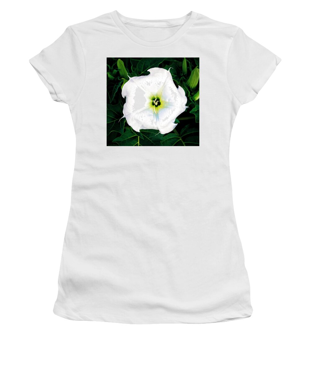 © 2017 Lou Novick All Rights Reserved Women's T-Shirt featuring the photograph Jimson Weed #1 by Lou Novick