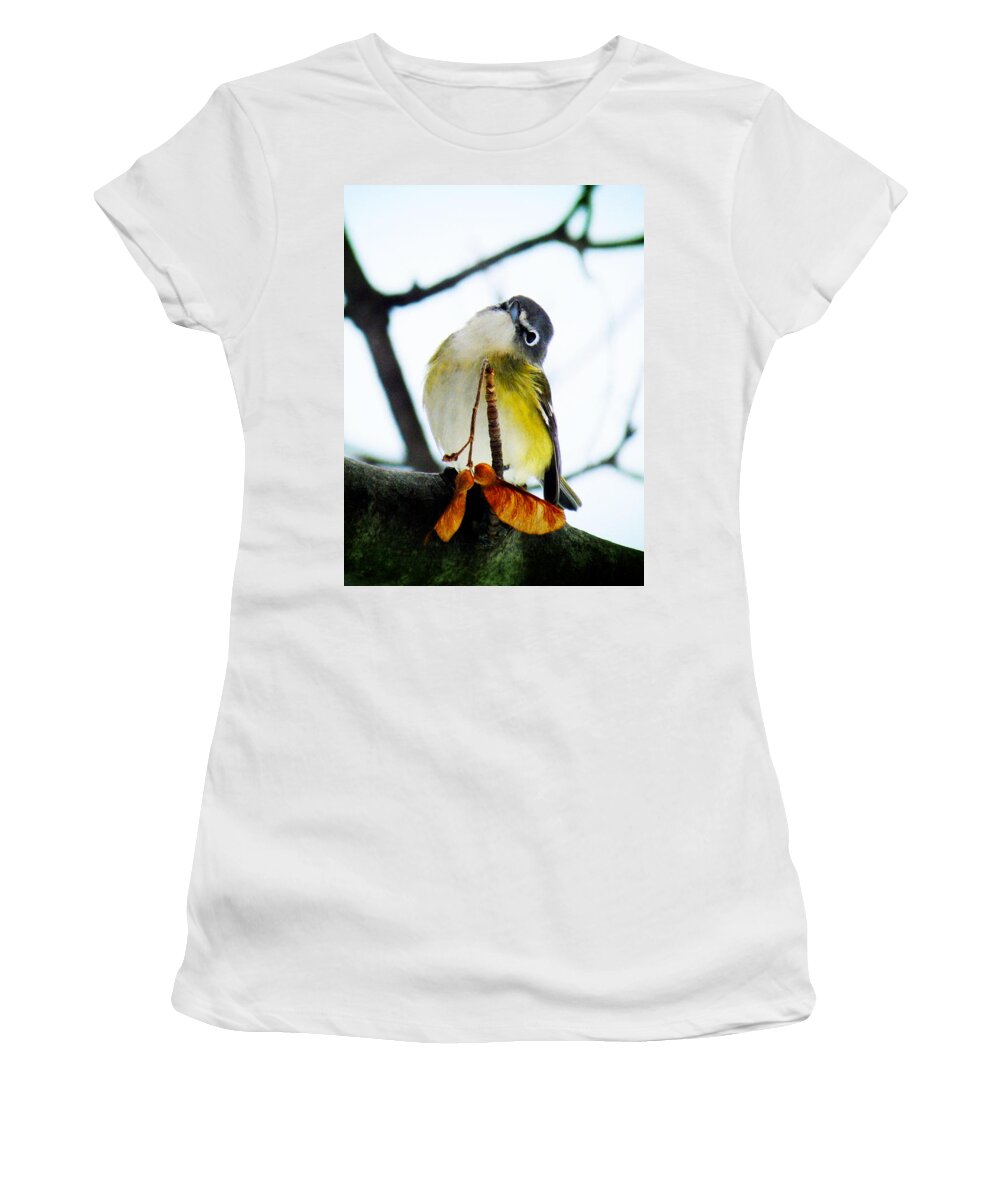 Blue-headed Vireo Women's T-Shirt featuring the photograph Just Curious by Zinvolle Art